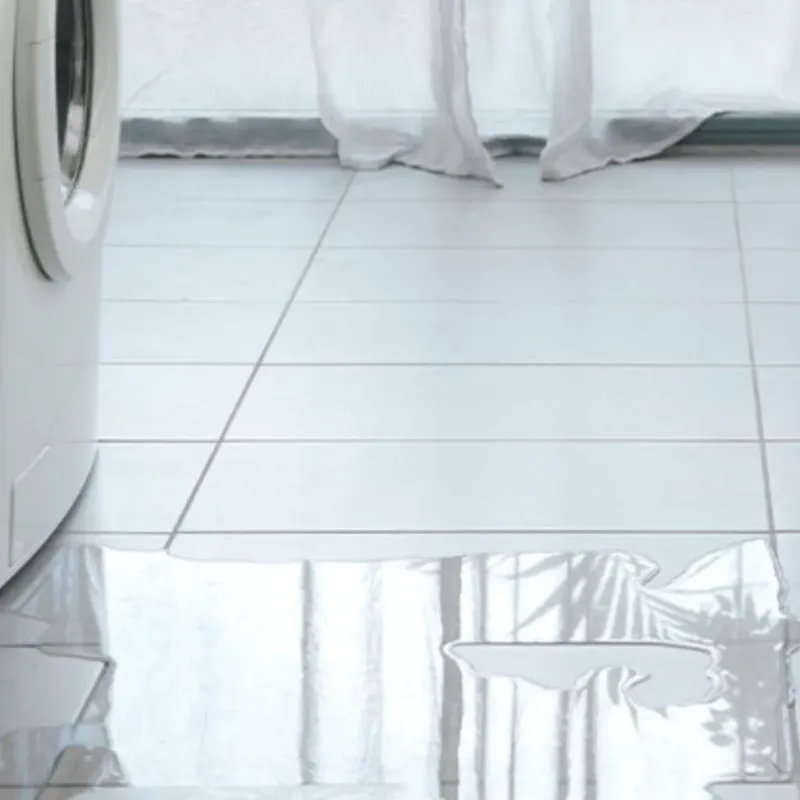 Appliance Leak Cleanup in Bozeman, MT